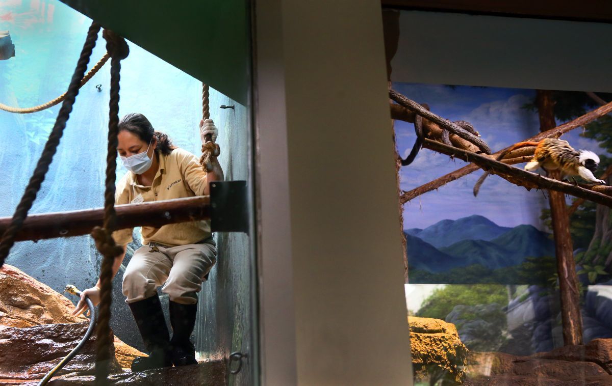 A celebration of zookeepers